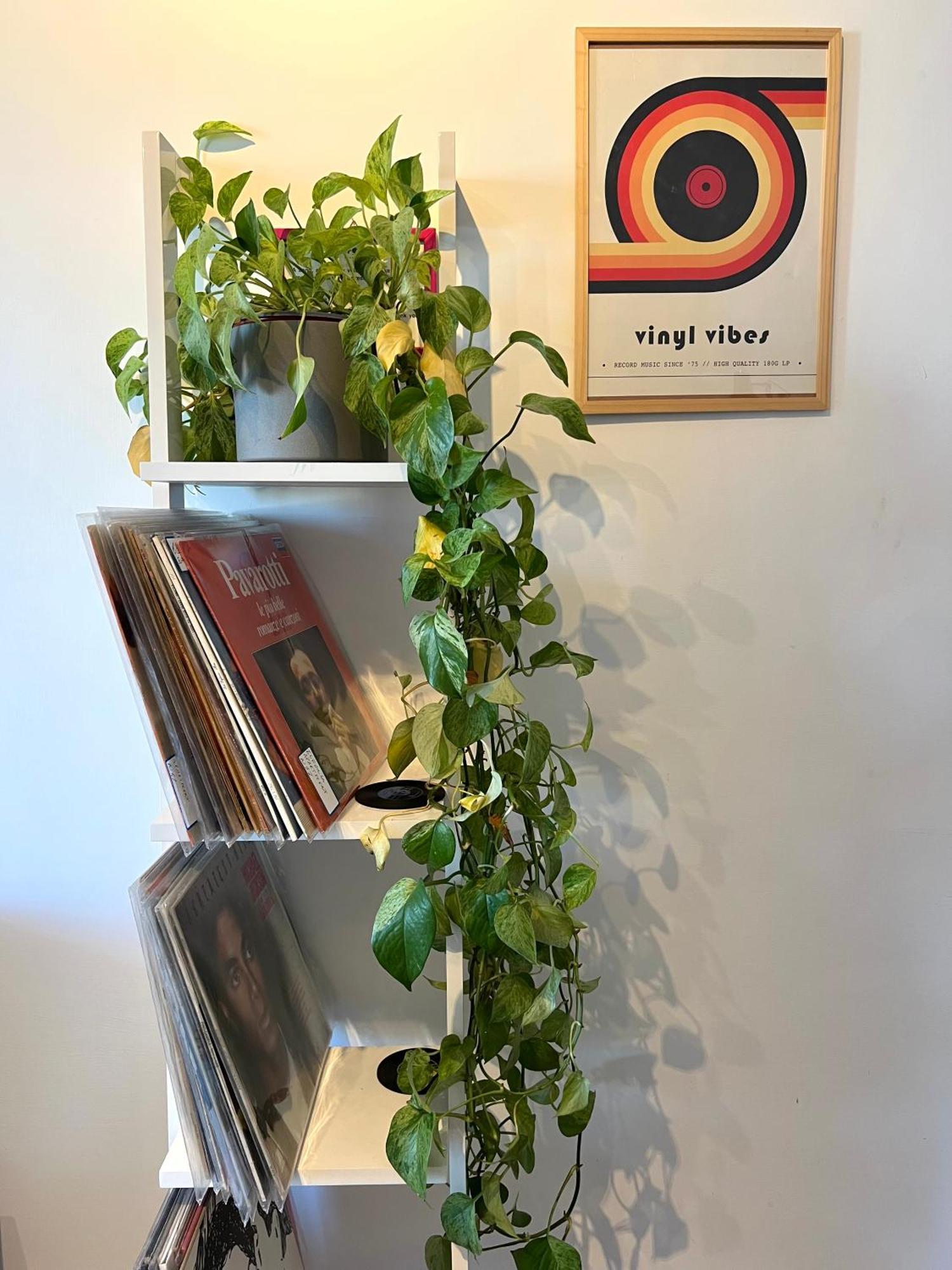 Eufonia Vinyl Friendly Apartment Roma Esterno foto